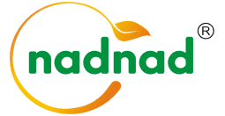 Impacta Digital Marketing Client Nadnad
